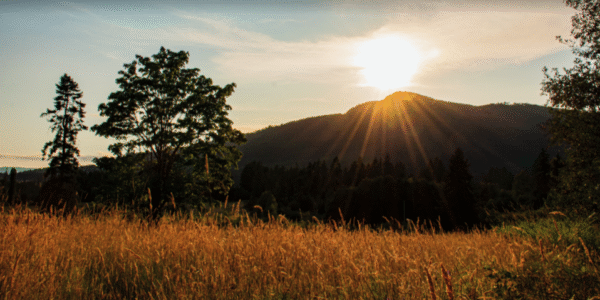 Screen Shot 2024-03-11 at 12.27.41 PM